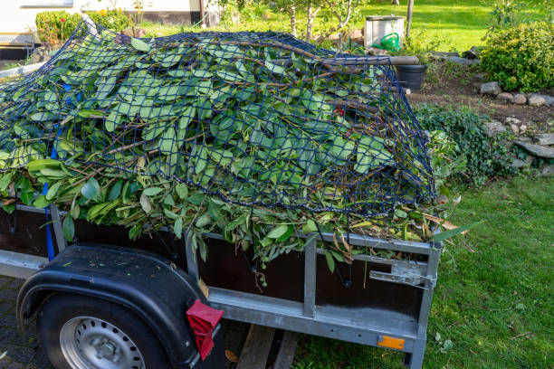 Retail Junk Removal in Canfield, OH